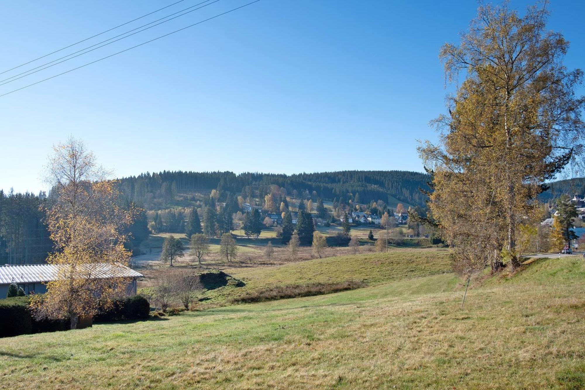 Apartment Fw Moonlight Mit Sauna, Schwimmbad Schoenwald im Schwarzwald